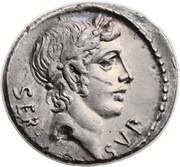 Denarius Sulpicia: Servius Sulpicius; SER SVLP obverse image