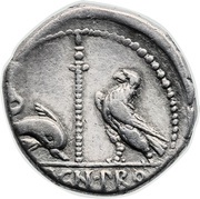 Denarius - Pompeius Magnus VARRO•PRO•Q / MAGN•PRO COS, Rome, 49 BC - 48 BC reverse image
