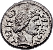 Denarius - Julius Caesar DICT•ITER COS•TERT / AVGVR PONT•MAX obverse image