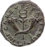 Quadrans - Vespasian S C obverse image