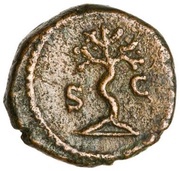 Quadrans - Anonymous S C; Minerva, Rome, 81-161 reverse image