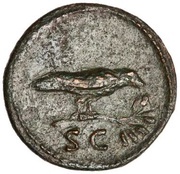 Semis S C; Apollo, Rome, 85 reverse image