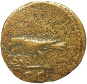 Semis S C; Apollo, Rome, 90-91 reverse image