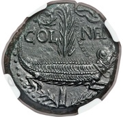 Dupondius - Augustus and Agrippa COL NEM, Rome, 10-14 reverse image