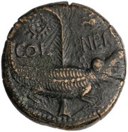 Dupondius - Augustus and Agrippa COL NEM, Rome, 10-14 reverse image