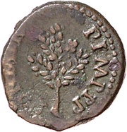 As PON M TR P IMP P P, Rome, 62-68 reverse image