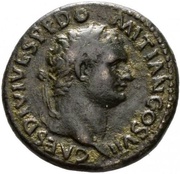 As - Domitian S C; Minerva obverse image
