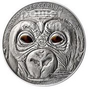 1000 Francs Infant gorilla, Cameroon, 2013 reverse image