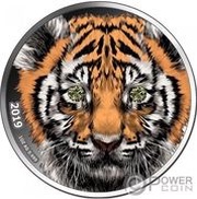 1000 Francs Tiger, Cameroon, 2019 reverse image
