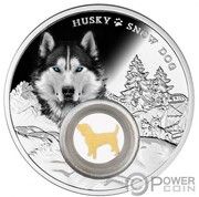 1000 Francs Husky, Cameroon, 2021 reverse image