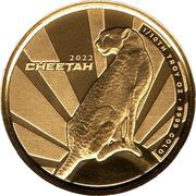 1000 Francs Cheetah, Cameroon, 2022 reverse image