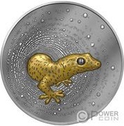 1000 Francs Gecko; gilded, Cameroon, 2023 reverse image