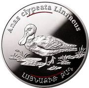 100 Dram Northern Shoveler, Armenia, 2007 reverse image