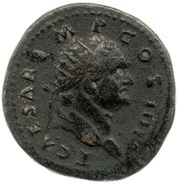 Dupondius - Titus FELICITAS PVBLICA S C; Felicitas obverse image