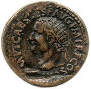 Dupondius - Titus S C obverse image