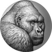 2000 Francs Mountain gorilla, Cameroon, 2021 reverse image