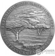 2000 Francs Buffalo obverse image