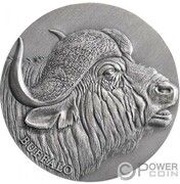 2000 Francs Buffalo, Cameroon, 2022 reverse image