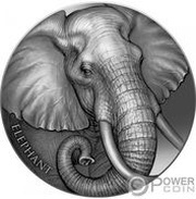 2000 Francs Elephant, Cameroon, 2023 reverse image