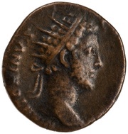 Dupondius - Commodus FEL AVG TR P VII IMP IIII COS III P P S C; Felicitas obverse image