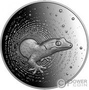 2000 Francs Gecko, Cameroon, 2023 reverse image
