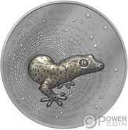 2000 Francs Gecko; gilded, Cameroon, 2023 reverse image