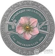 2000 Francs Amazon obverse image