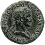 Sestertius - Galba ROMA S C; Roma obverse image