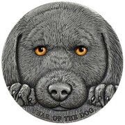 3000 Francs Year of the Dog, Cameroon, 2018 reverse image