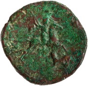 Sestertius - Commodus VIRT AVG P M TR P X IMP VII COS IIII P P S C, Rome, 184-185 reverse image