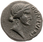 Denarius PACI P R obverse image
