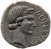 Denarius PACI P R obverse image