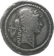 Denarius AVGVSTVS; Apollo obverse image