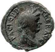 Denarius - Vespasian PACI ORB TERR AVG, Rome, 70 reverse image