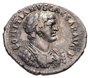 Denarius - Domitian PACI ORB TERR AVG EPHE obverse image