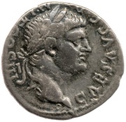 Denarius - Domitian COS VII obverse image