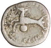 Denarius - Titus TR P VIIII IMP XIIII COS VII P P, Rome, 79 reverse image