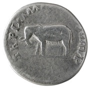 Denarius - Titus TR P IX IMP XV COS VIII P P, Rome, 80 reverse image