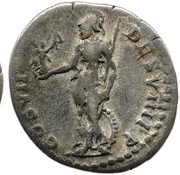 Denarius - Domitian COS VII DES VIII P P, Rome, 81 reverse image