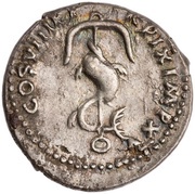 Denarius - Domitian TR POT COS VIII P P, Rome, 82 reverse image