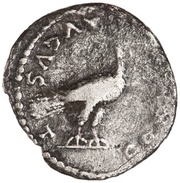 Denarius - Domitia CONCORDIA AVGVST, Rome, 82-83 reverse image