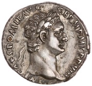 Denarius - Domitian COS XIIII obverse image