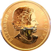 25 Cents - Elizabeth II Barn Swallow obverse image