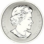 25 Cents - Elizabeth II Aster and Bumble Bee obverse image