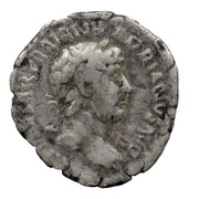 Denarius - Hadrian P M TR P COS III obverse image