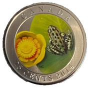 25 Cents - Elizabeth II Water Lily And Leopard Frog, Canada, 2014 reverse image