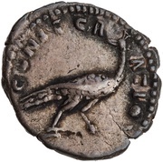 Denarius - Faustina the Elder CONSECRATIO, Rome, 141 reverse image