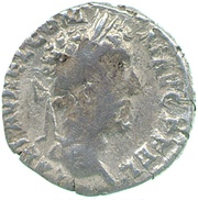 Denarius - Commodus MAGNIFICENIAE AVG COS VII P P obverse image