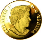 50 Cents - Elizabeth II Snowy Owl obverse image