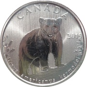 50 Cents - Elizabeth II Kermode Bear, Canada, 2019 reverse image